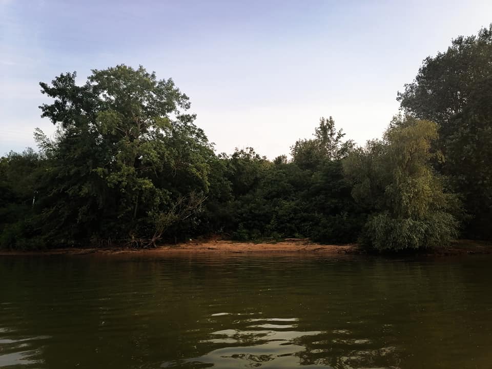 Letovanje za početnike u Beogradu: Amazonski pejzaž, a plaže peščane, egzotične, divlje 3