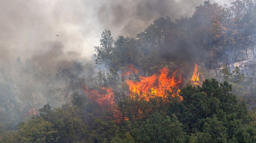 Požari bukte širom Balkana: U Albaniji vatra stigla do obale, iz Dalmacije apokaliptične scene (VIDEO) 6