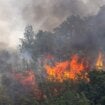 Požari bukte širom Balkana: U Albaniji vatra stigla do obale, iz Dalmacije apokaliptične scene (VIDEO) 13