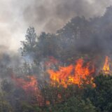 Požari bukte širom Balkana: U Albaniji vatra stigla do obale, iz Dalmacije apokaliptične scene (VIDEO) 15
