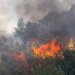 Požari bukte širom Balkana: U Albaniji vatra stigla do obale, iz Dalmacije apokaliptične scene (VIDEO) 17