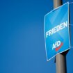 Uspeh AfD-a: Privreda strahuje od negativnih posledica 11