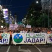 Rio Tinto u Srbiji: Demonstranti u Beogradu u protestnoj šetnji protiv litijuma 14