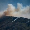 Veliki šumski požari na jugoistoku Srbije, gori stotine hektara, sumnja se da su podmetnuti 13