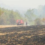 Lokalizovani požari u Srbiji, „parcela Čaka Norisa" odbranjena od vatre u Hrvatskoj 7