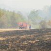 Veliki šumski požari na jugoistoku Srbije, gori oko 2.500 hektara, dramatično i u hrvatskoj Dalmaciji 12