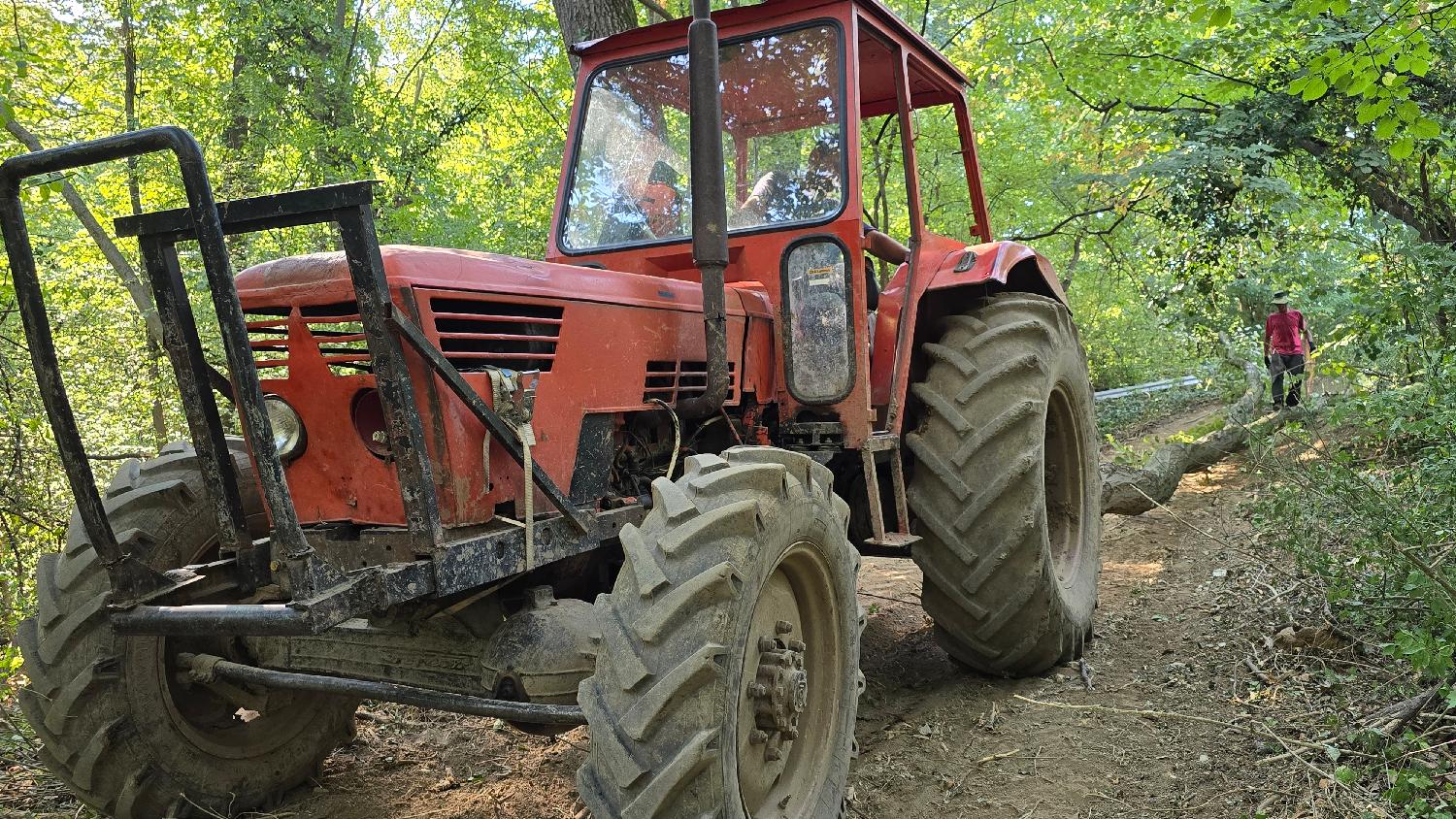 (FOTO) Na Košutnjaku posečeno više od 10 stabala, traktor bez registarskih oznaka ih transportovao 5