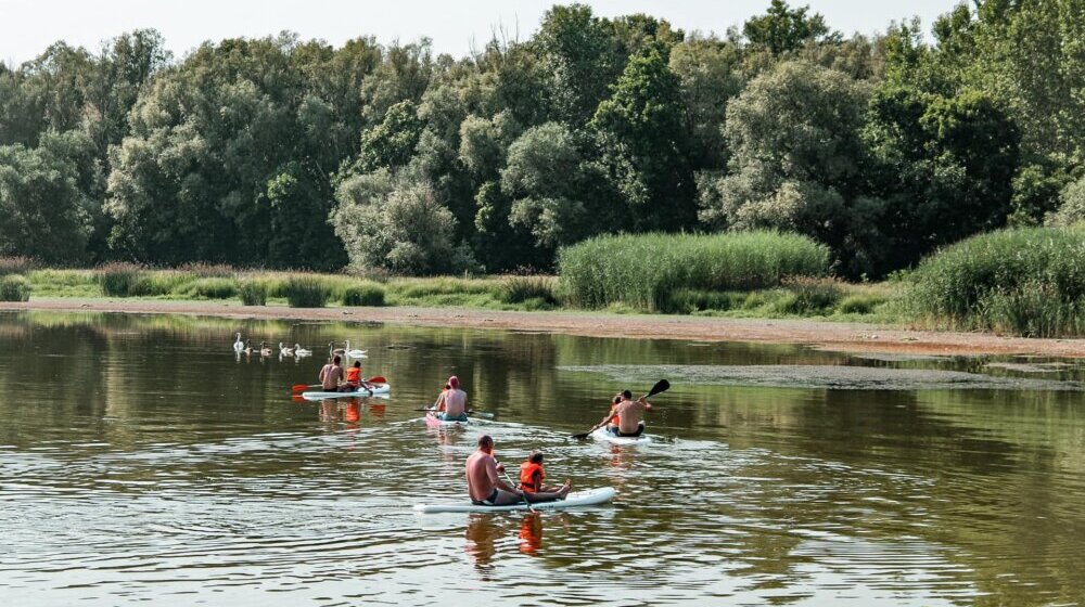 Kamp "Košnica prijateljstva" ugostila mališane na Begečkoj jami: "Učimo se pre svega drugarstvu i poverenju" 1