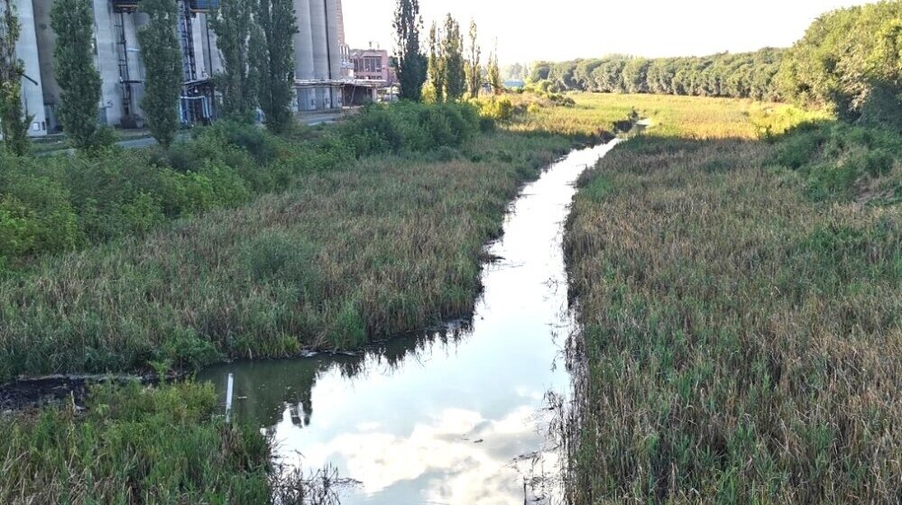 Najzagađeniji vodotok u Evropi: Ekološki aktivisti upozoravaju da se Veliki bački kanal ne čisti zbog nemara rukovodstva opštine Vrbas 9