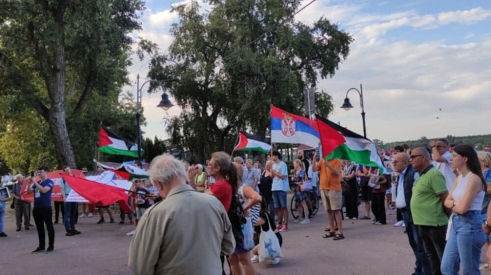 SKOJ: U Zemunu održan skup podrške narodu Palestine (FOTO) 9
