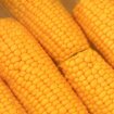 Deo kukuruza koji se najčešće baca ima brojne zdravstvene prednosti 10