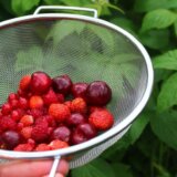 Gastroenterolog tvrdi da je ovo najbolje voće za zdravlje creva 5