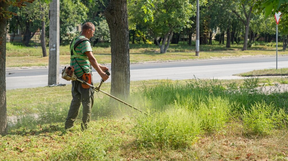 Za ovu krv krivim Vesića i Šapića 11