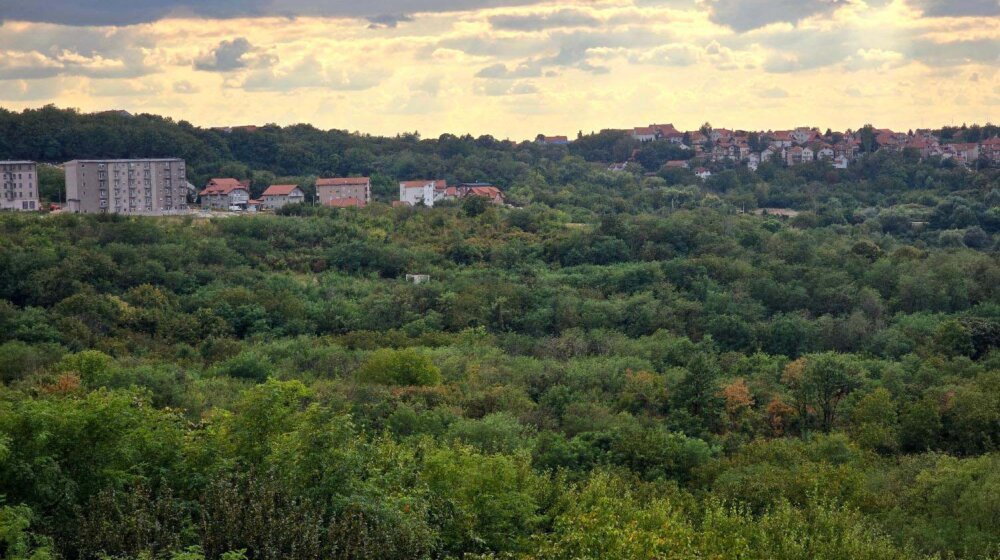 "Grad pokušava da posvađa ljude": Šta je pokazala javna sednica o Planu detaljne regulacije parka-šume Bajdine na Mirijevu? 1