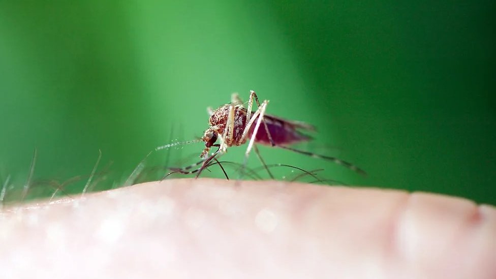 Zdravlje: Zašto se neki ljudi dobrovoljno prijavljuju da budu zaraženi bolestima 10