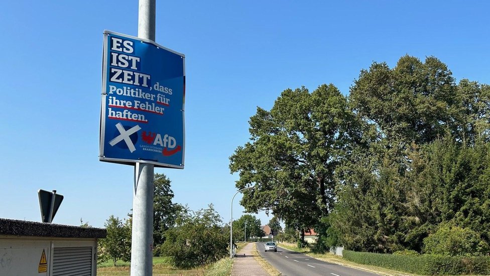 Plakat AfD-a na banderi