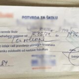 Srbija: Lažna lekarska uverenja za đake na internetu, kako se boriti protiv toga 7