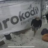 Korkodil