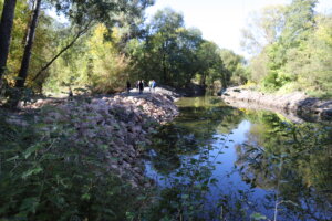 Rešeno višegodišnje izlivanje Crnog Timoka: Meštani borskog sela Metovnica ponovo mogu da obrađuju svoja polja 2