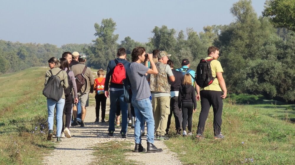 Posmatranje ptica na više od 30 lokacija u Srbiji: Besplatni izleti prvog vikenda u oktobru 10