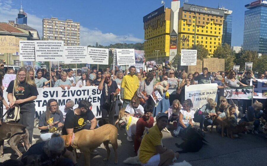 Protest zbog mučenja i ubistva psa u Sarajevu 11