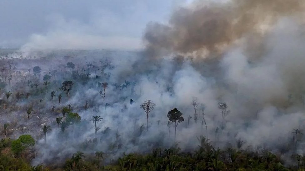 Samo ove godine izgorelo je više od 62.000 kvadratnih kilometara amazonske prašume