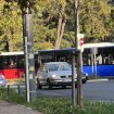 Šapićevi "nemanjićko plavi" autobusi izašli na ulice 12