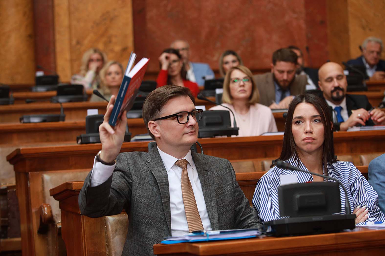 Litijum u Skupštini - treći dan: "Jeste li vi svi budale" pitala Brnabić opoziciju, Pavić sporio globalno zagrevanje, Ćuta poručio da je predsednica Skupštine - Baja Mali Knindža (VIDEO) 13