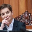 Brnabić se žuri: Nada se da će danas biti završena sednicu o litijumu 10