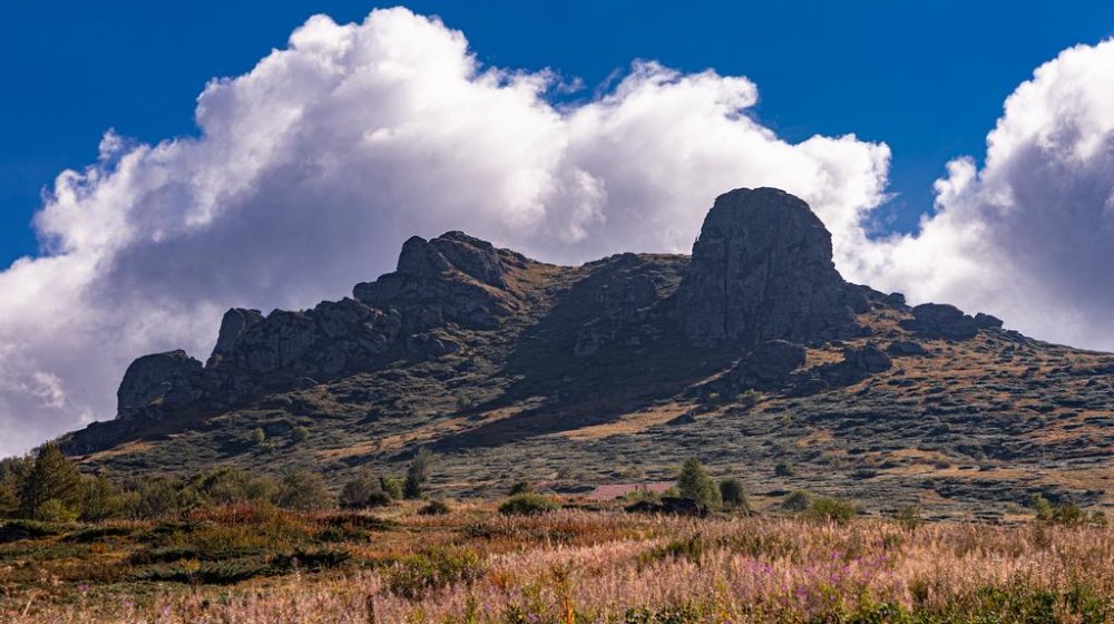 (FOTO) Stara planina - nacionalni park na papiru dve godine, u praksi daleko od toga dok klimatske promene uzimaju danak 1