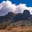 (FOTO) Stara planina - nacionalni park na papiru dve godine, u praksi daleko od toga dok klimatske promene uzimaju danak 10