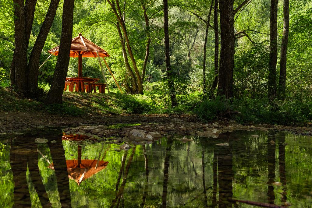 (FOTO) Stara planina - nacionalni park na papiru dve godine, u praksi daleko od toga dok klimatske promene uzimaju danak 4