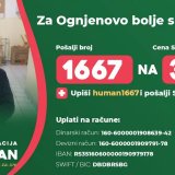 Pomozimo Ognjenu: Budi human prikuplja novac za lečenje dečaka 5