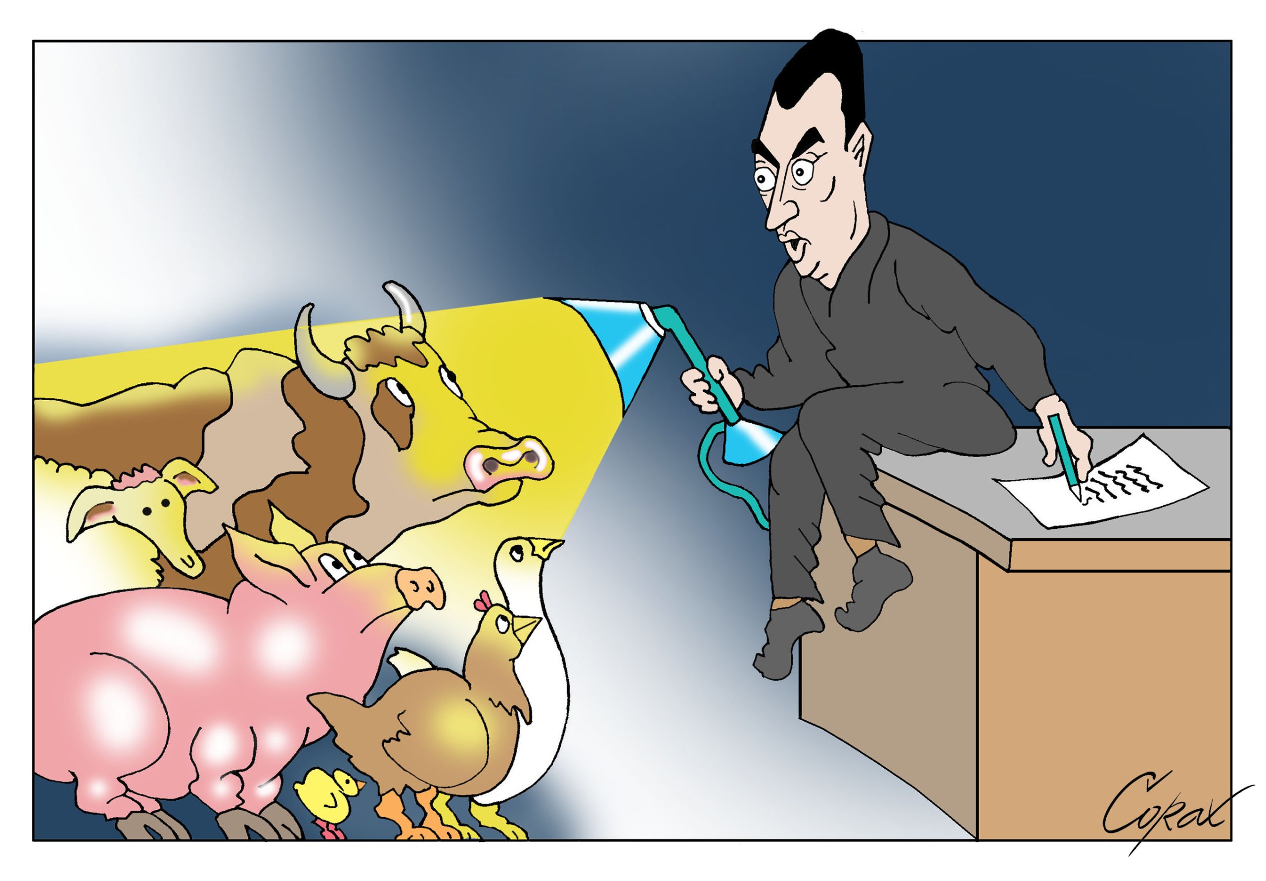 Corax 11