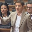 Ana Brnabić: Sednica o litijumu pokazala da opozicija ne sme da se suoči sa Vučićem 13