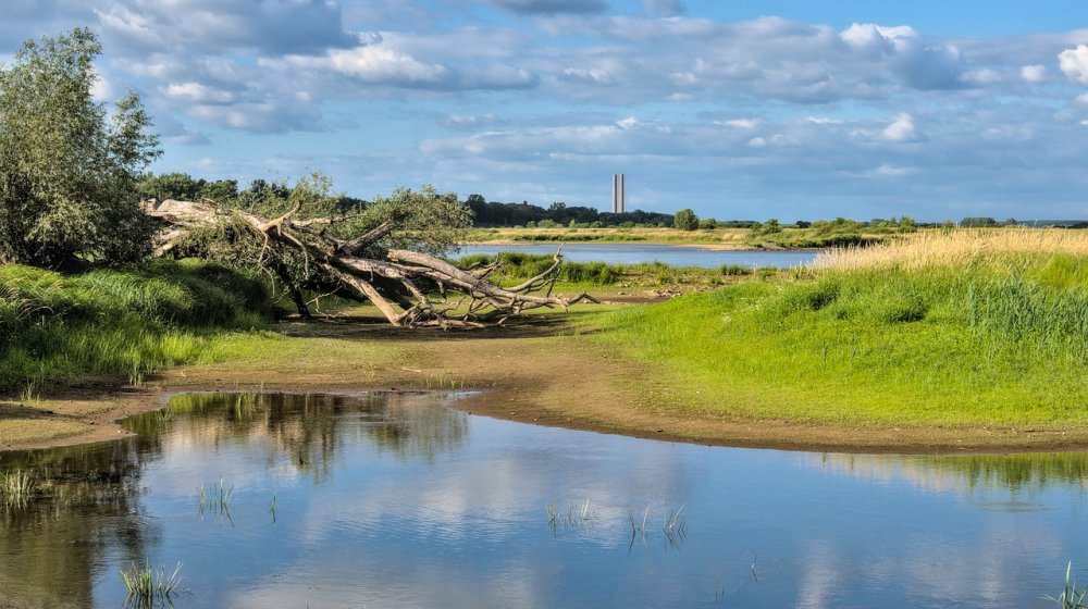 Klimatske promene i gubitak biodiverziteta najveći problemi sa kojima se planeta suočava 1