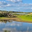 Klimatske promene i gubitak biodiverziteta najveći problemi sa kojima se planeta suočava 14