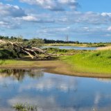 Klimatske promene i gubitak biodiverziteta najveći problemi sa kojima se planeta suočava 5