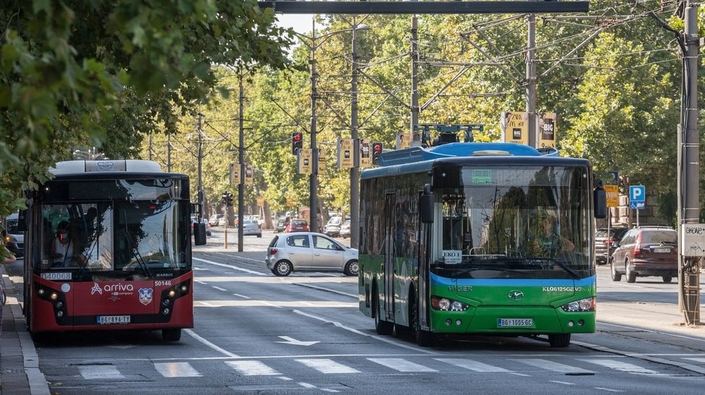 Žena ne bi ispala iz busa da je bio "nemanjićko plavi" 10