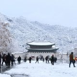 Ekstremno vreme u Južnoj Koreji: Troje poginulih u snežnim padavinama 9