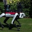 „Ne mazite ga“: Zašto robotski psi patroliraju Trampovim imanjem 8