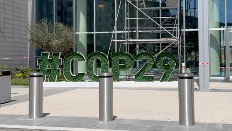 COP29