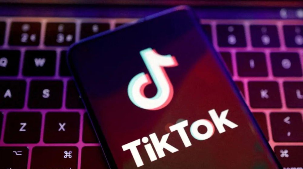 Porodice u Francuskoj tuže TikTok zbog 'štetnog sadržaja po decu' 10