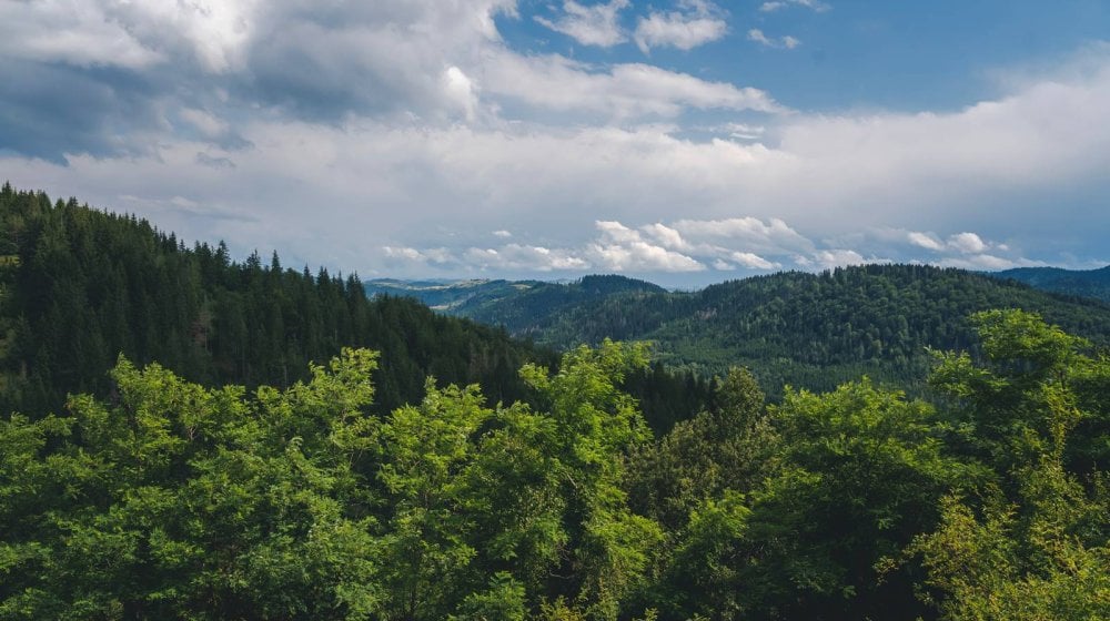 šume na Balkanu