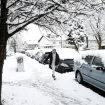 Snežne padavine okovale region: U FBiH oko 60.000 potrošača bez struje, u jednom mestu u Hrvatskoj očekuju metar snega, kolaps na severu Crne Gore (VIDEO) 9