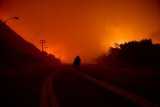 Veliki požar zahvatio Malibu, uništio domove, evakuisano hiljade ljudi (FOTO) 4