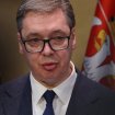 Da li tužilaštvo treba da sasluša Vučića povodom tvrdnji Jelene Tanasković? 9