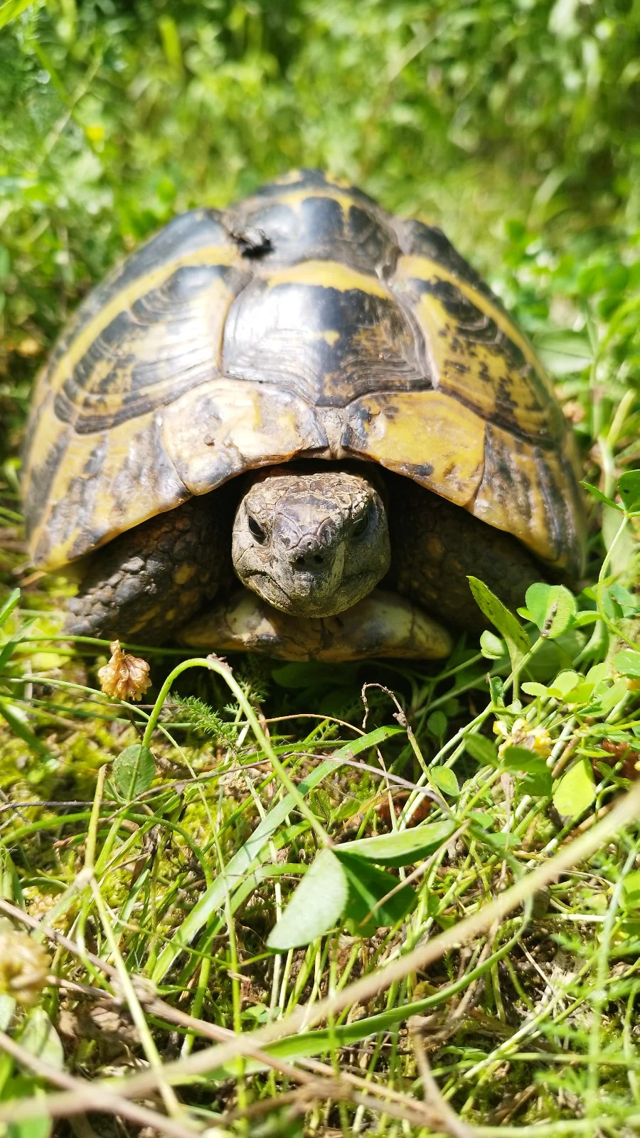 Manje od devet odsto teritorije Srbije je pod zaštitom, mnoga područja u lošem stanju 5