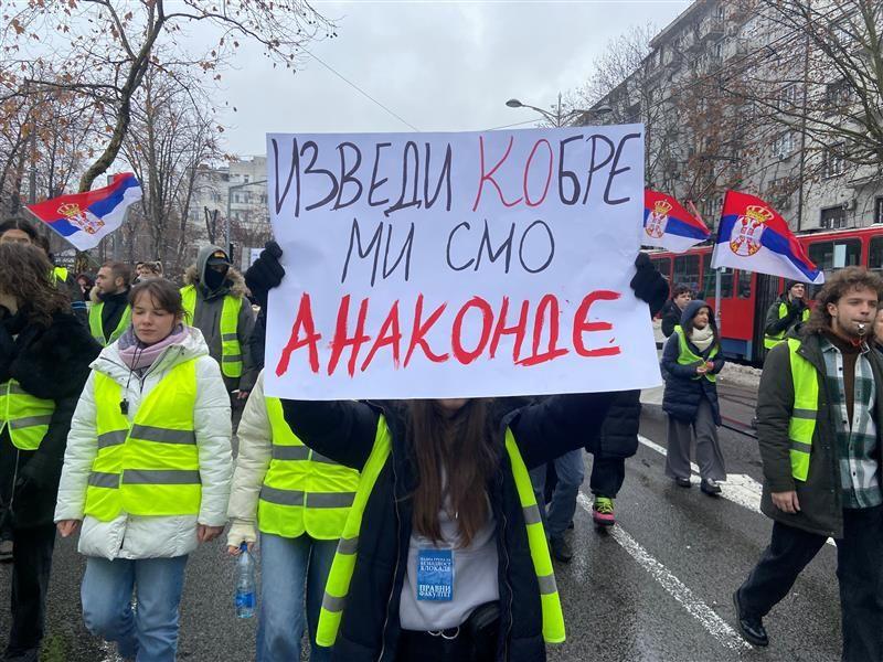 transparent na studentskom protestu „Izvedi kobre, mi smo anakonde"