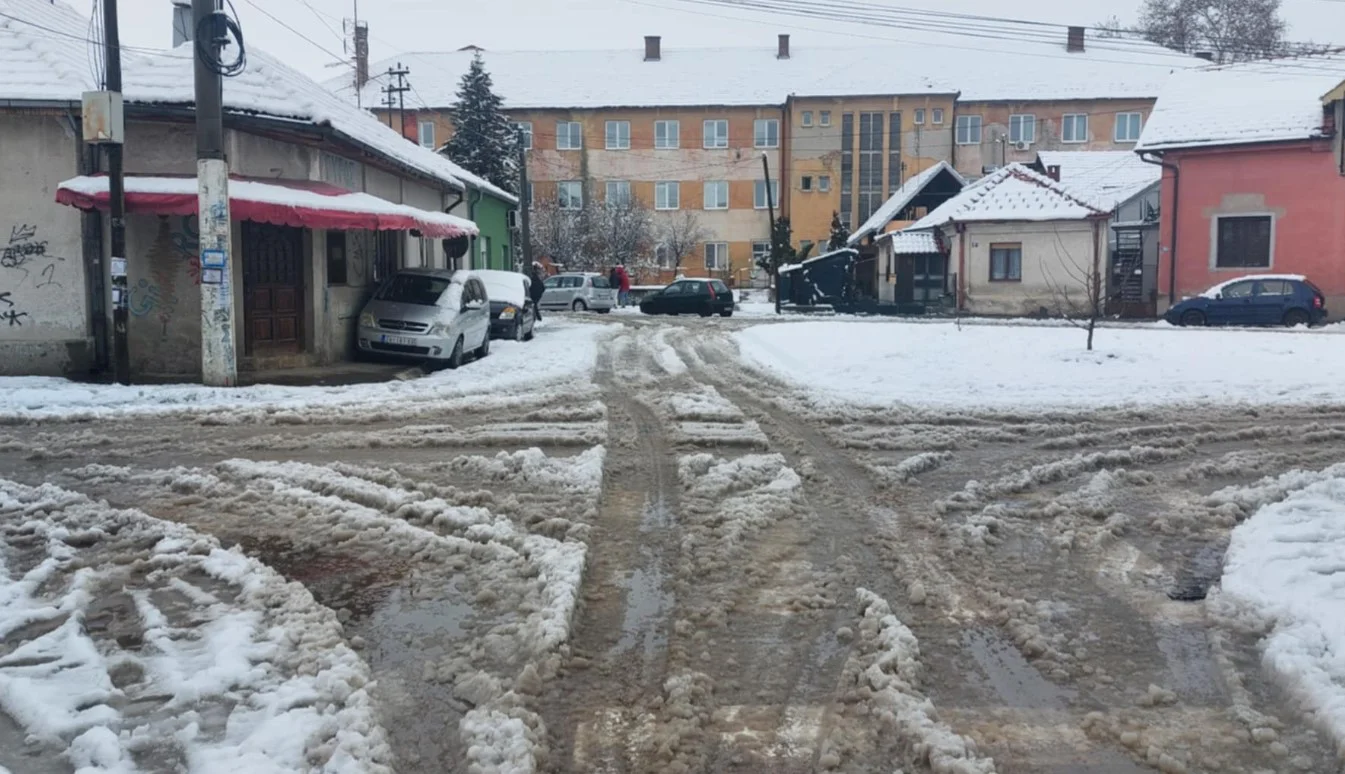 "Sada će on, čim se probudi, da pozove Kobre da to razbacaju": Urnebesni komentari Zaječaraca zbog kolapsa sa snegom 3